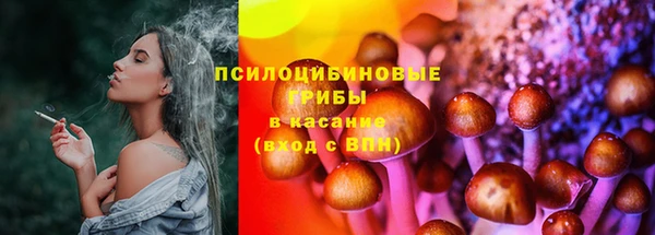 гашик Абдулино