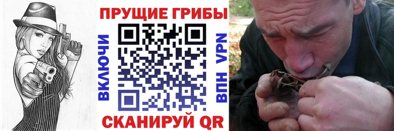 Галлюциногенные грибы Magic Shrooms  Шарыпово 